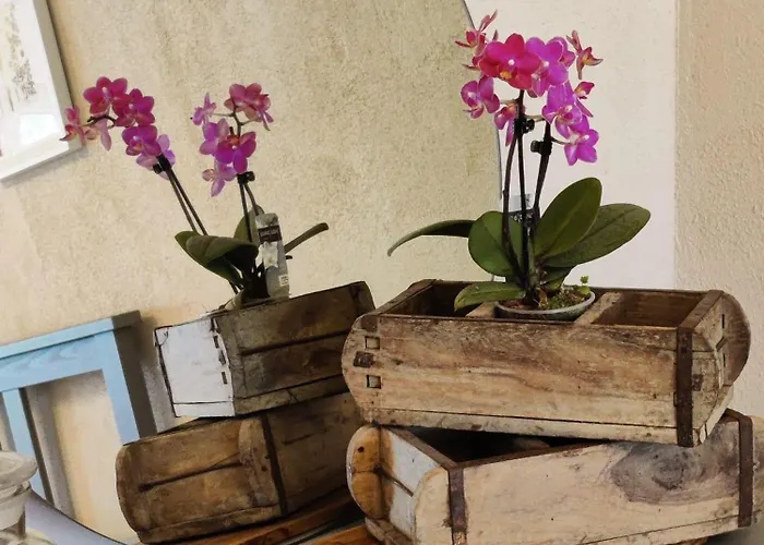 Luettje Freeitied * Moormerland